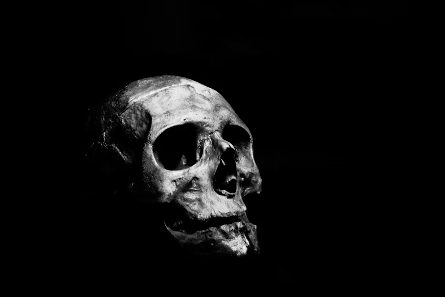 a skull - Essay About Death